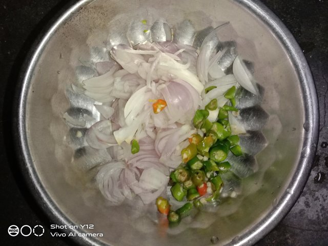 IMG_20250713_172953.jpg