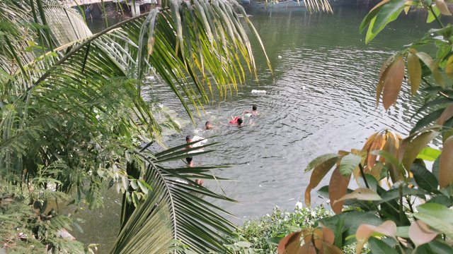 IMG_20240608_161214.jpg