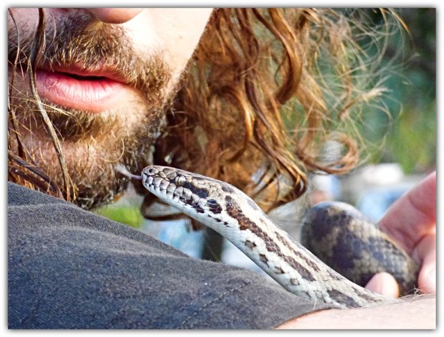 Snake whisperer.jpg