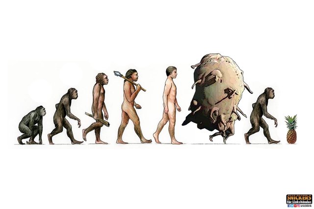 evolution_steemit.jpg