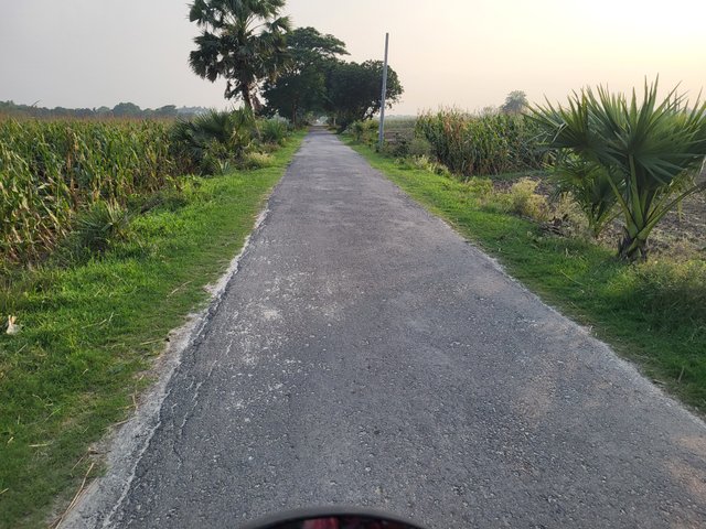 20250424_172415.jpg