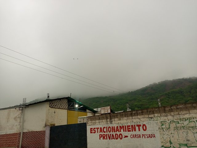 IMG_20250515_174352_808.jpg