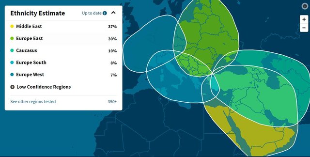 Ethnicity Estimates.JPG