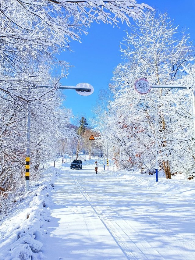 吉林的冬天.jpg