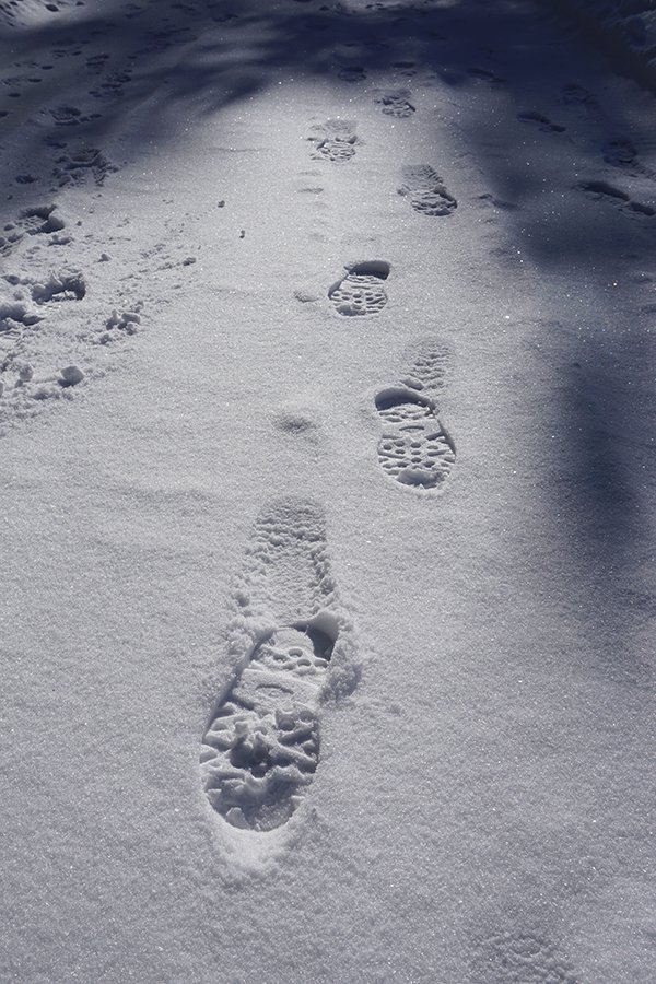 Shoe Prints in Snow s.jpg