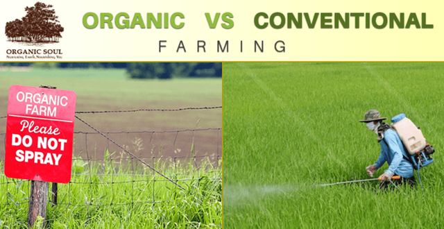 organic farming vs conventional farming ppt