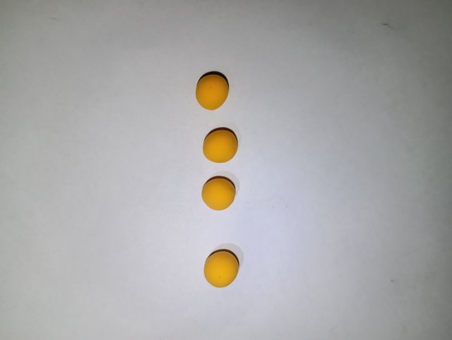 1000063484.jpg