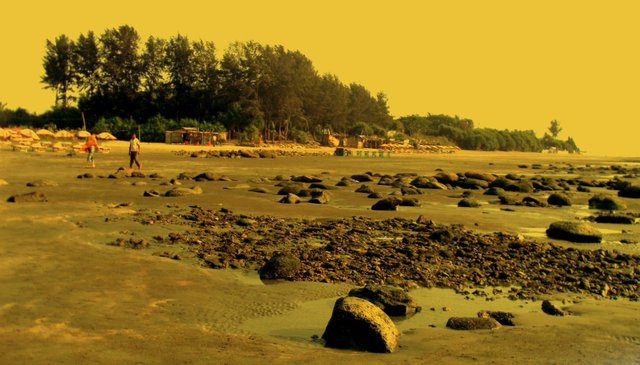 Coral_Reef_of_Saint_Martin_Island_Bangladesh.JPG