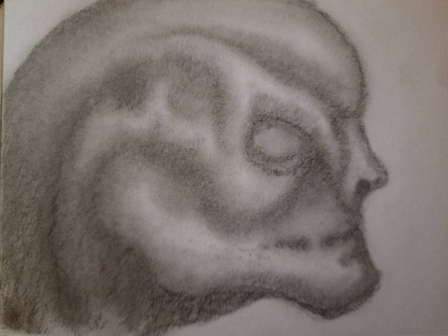 20250428_112638.jpg