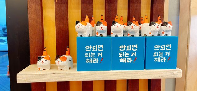 KakaoTalk_20250617_093730019_18.jpg