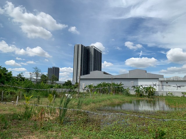 nature120.jpg