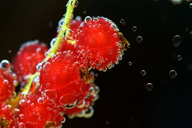 berries-bright-bubbles-533319.jpg