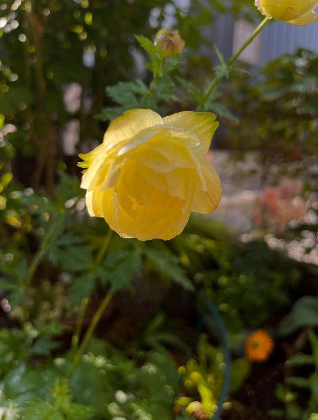 IMG_20250608_161358.jpg