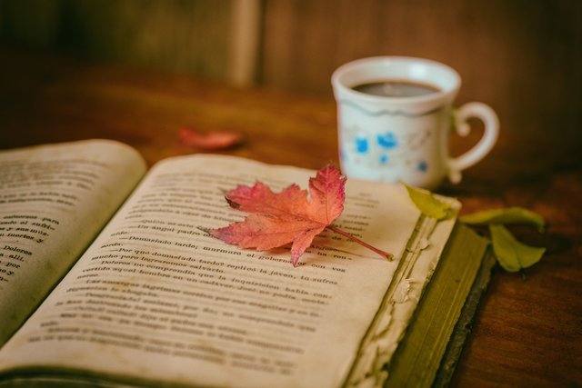 leaves_books_color_coffee_cup_still_life_book_reading-670379.jpg!d.jpg