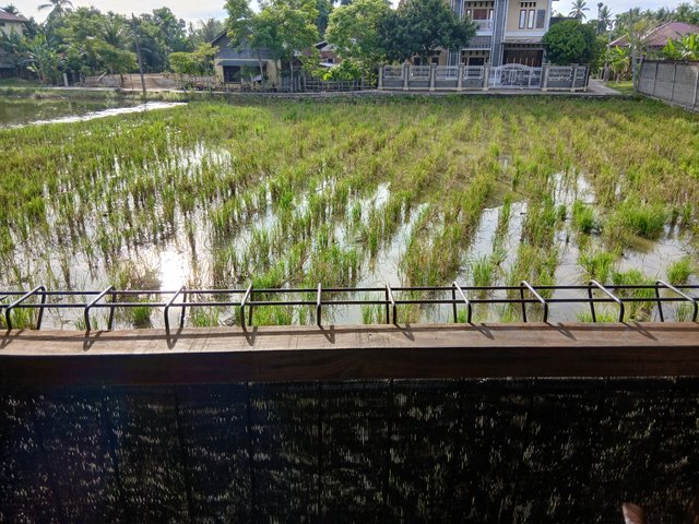 20250512_075513.jpg