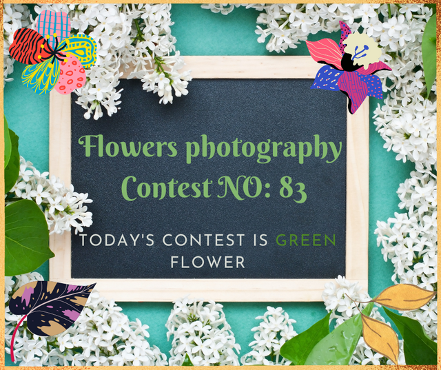 Flowers photography Contest (1).png