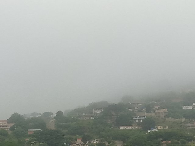 FotoGrid_20250803_113510468.jpg