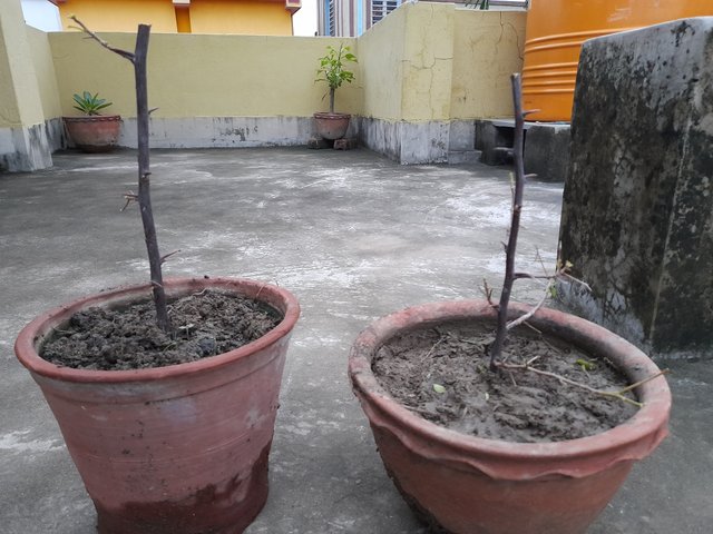 20210616_181819.jpg