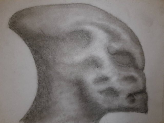 20250914_093827.jpg