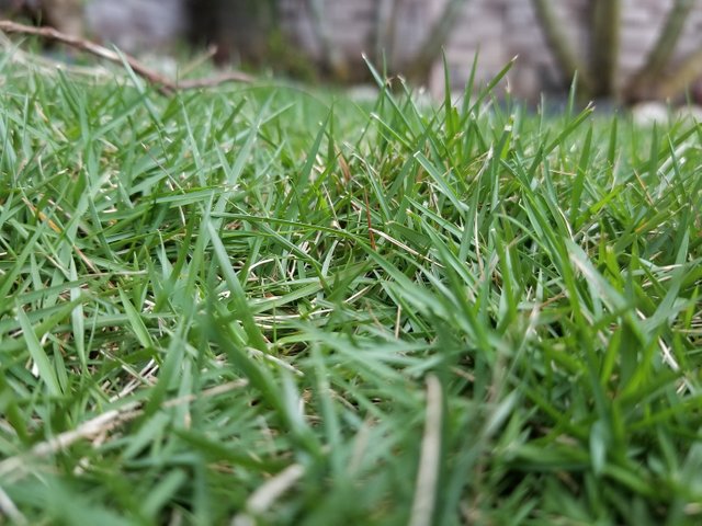 20250621_181305.jpg