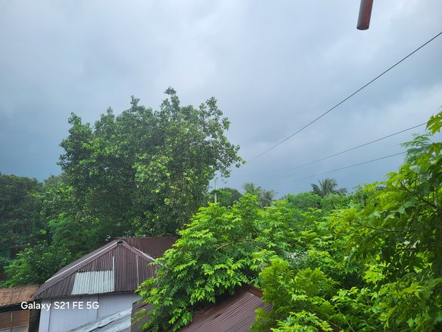 20250715_104153.jpg