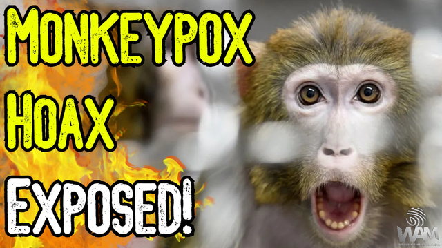 monkeypox hoax exposed thumbnail.png