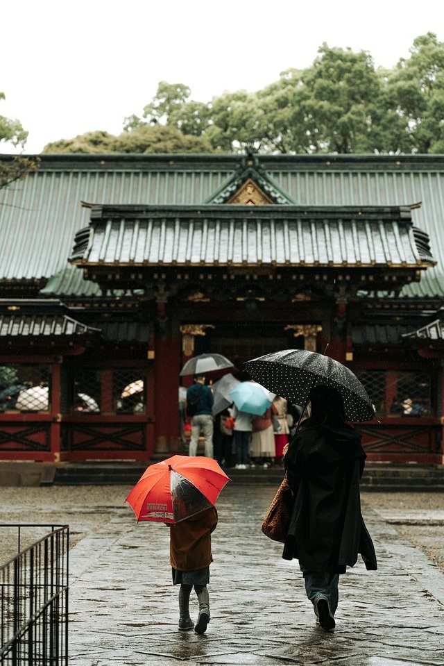 rain-7155121_1280.jpg