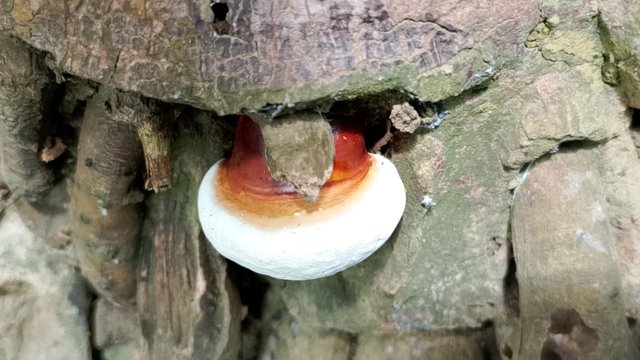 IMG_20250408_125944.jpg