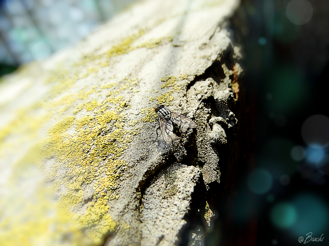 DSC07636.png
