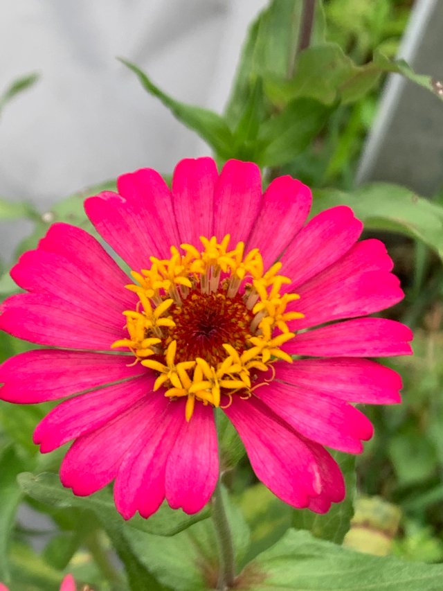 nature107.jpg