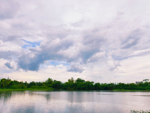 IMG_20250807_095626.jpg