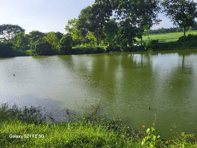 20250711_170751.jpg
