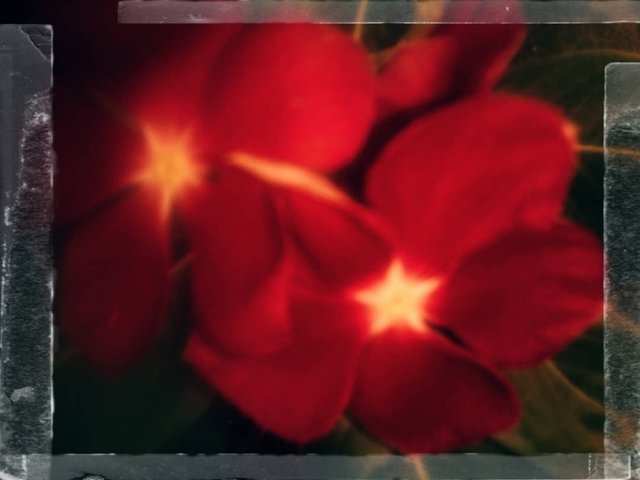 WhatsApp Image 2021-04-01 at 1.36.11 PM.jpeg