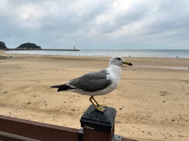IMG_8211.jpeg