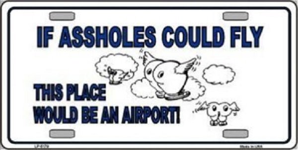 IF-ASSHOLES-COULD-FLY-e1507404579754.jpg