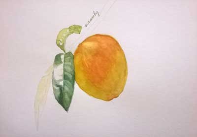Peach Study