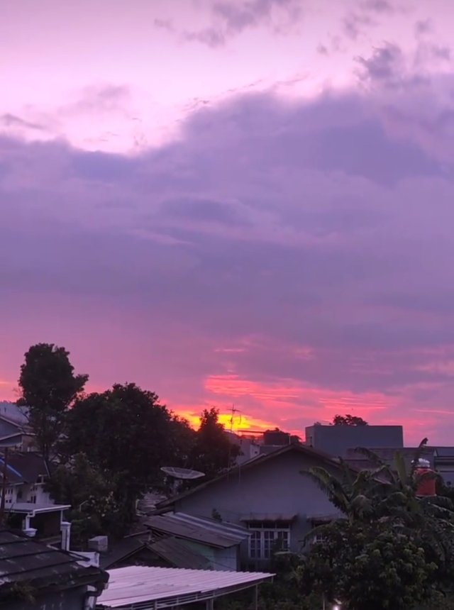 1750316440356.jpg