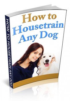 how-to-housetrain-any-dog-1.jpg