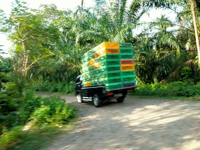 IMG20250721170405.jpg