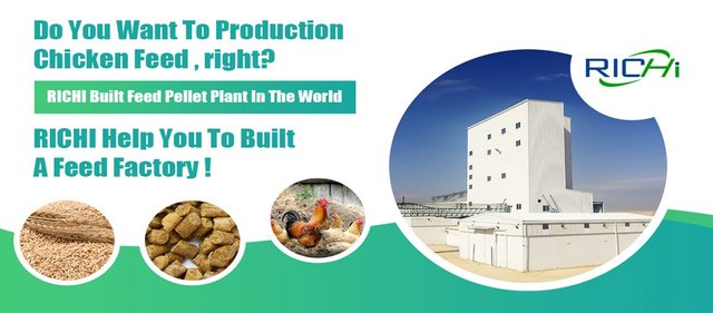 choose proper chicken feed manufacturing plant.jpg