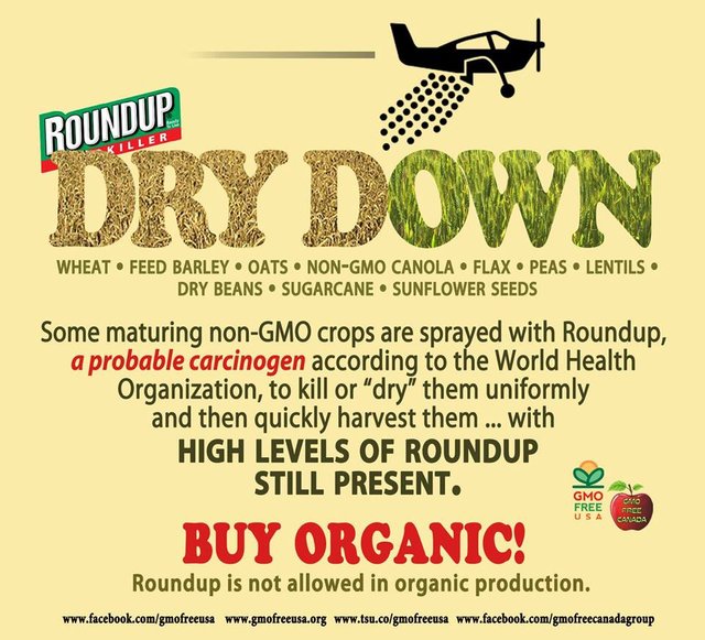 Roundup drydown.jpg