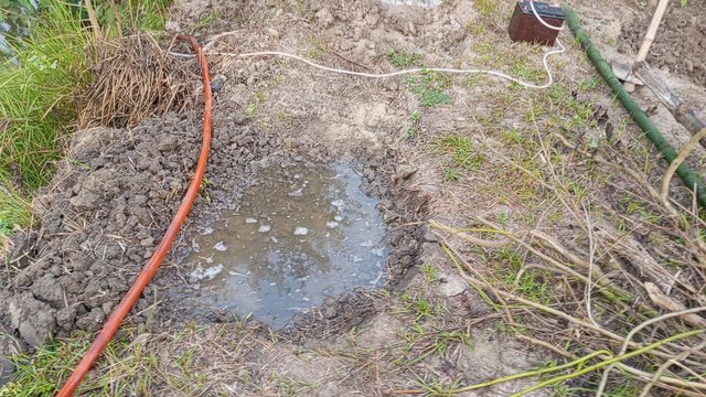 IMG_20231103_070106_3.jpg