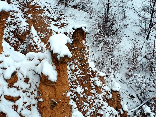 20190213_150442.jpg