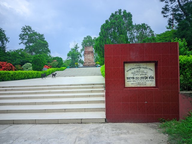20250702_143128.jpg