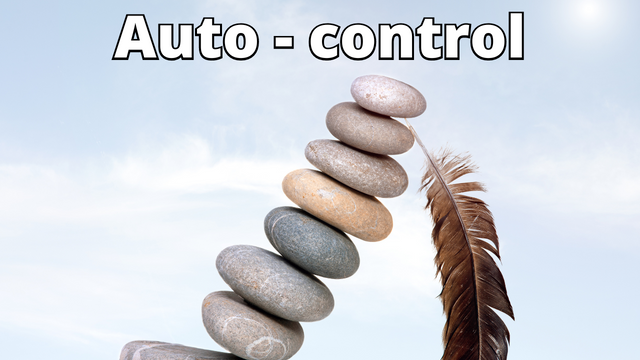 autocontrol (6).png