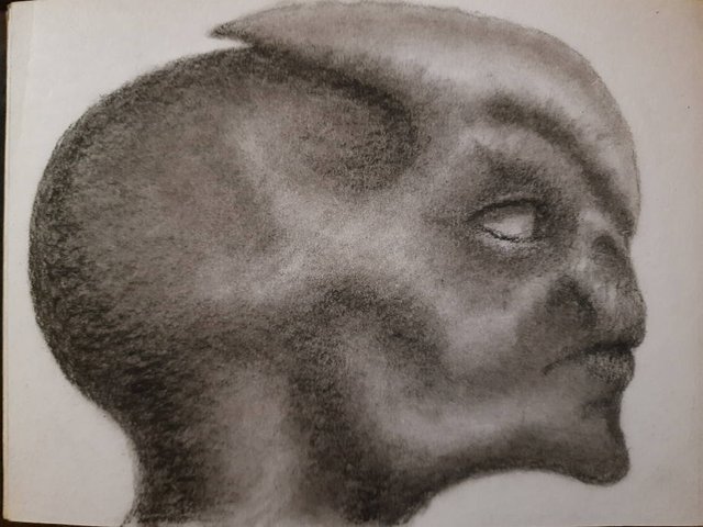 20250501_112829.jpg