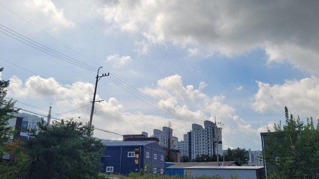 1000045866.jpg