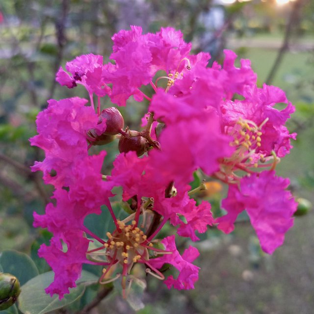 IMG_20250930_184508_448.jpg