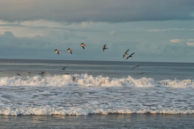 costa-rica-4748934_1280.jpg
