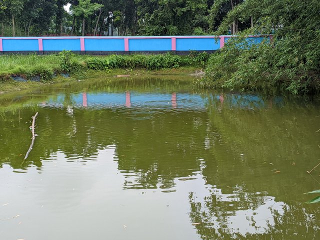 1000038361.jpg